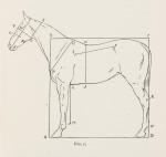 Evans Linton, The Drawing and Construction of Animals.